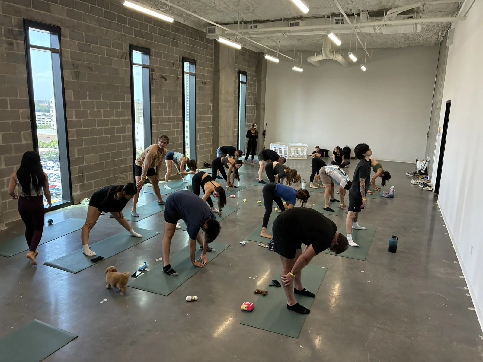 Coworkers in a forward fold with puppies underfoot at a Houston office loft