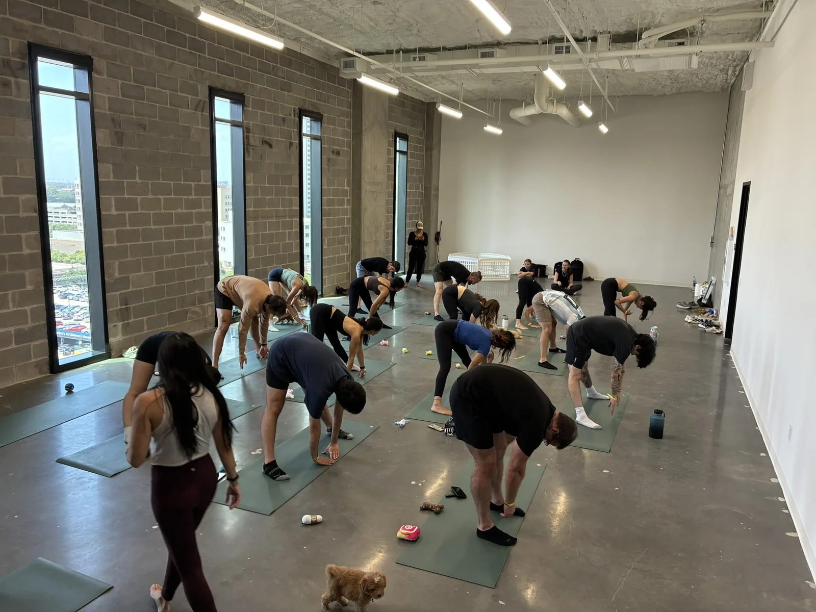 A team stretching with puppies on the mats in a Houston office loft