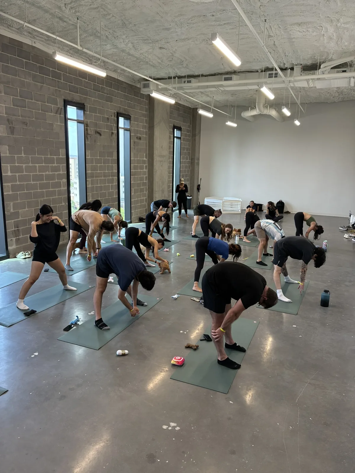 Coworkers stretching while a puppy explores the mats at a Houston office visit